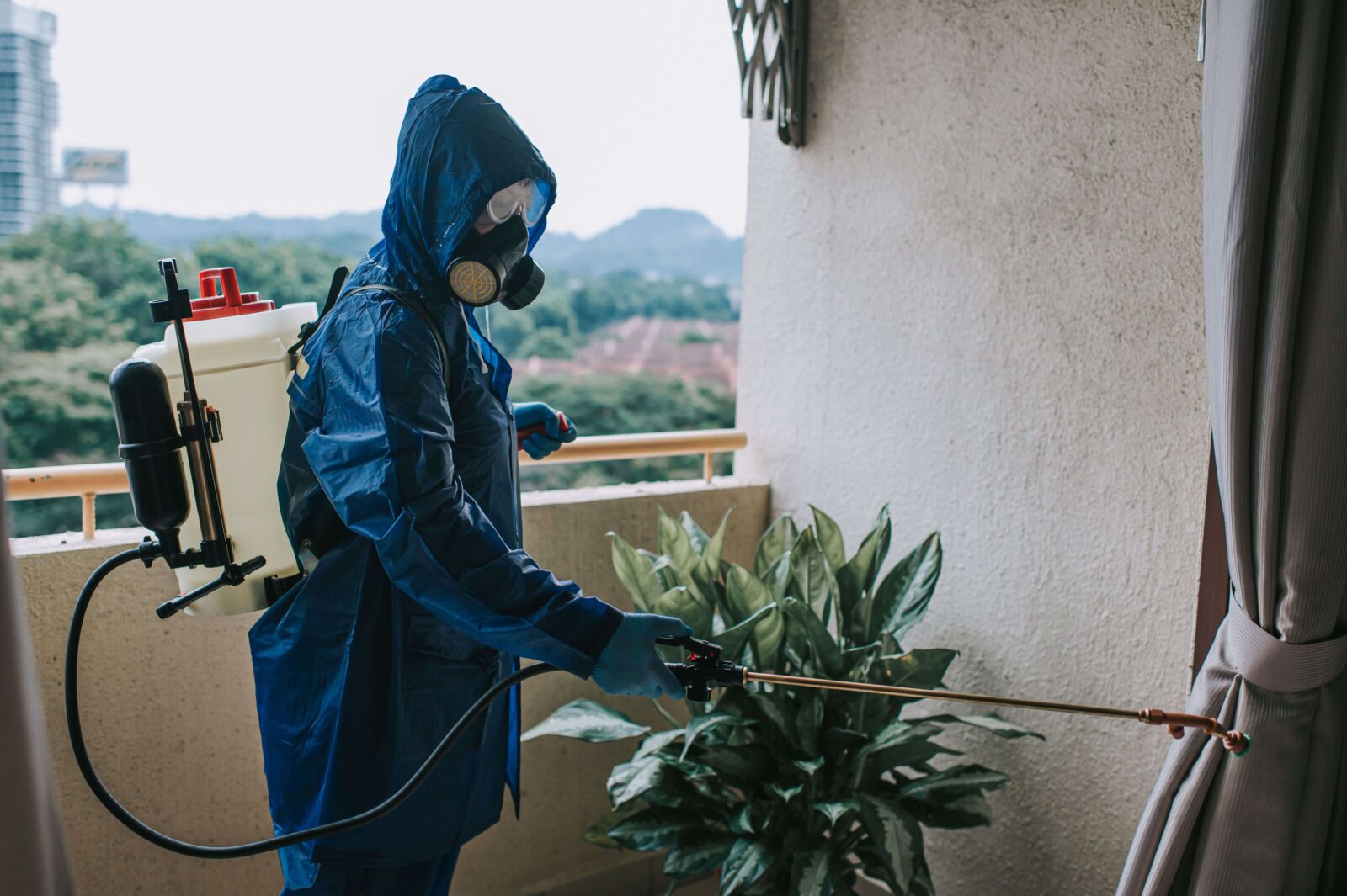 pest-and-flea-treatment